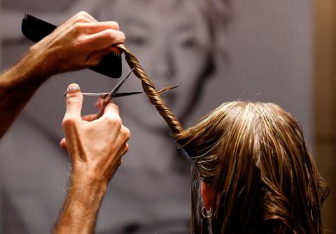 إعادة تدوير الشعر لاستخدامه في حماية البيئة – صحيفة الإرادة